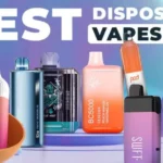 Best Disposable Vape 2024