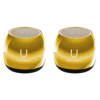 U Speaker 1