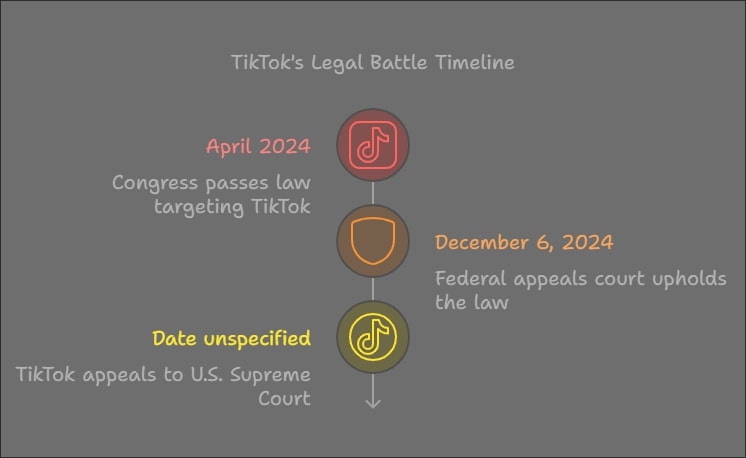 TikTok Appeals Ban to U.S.